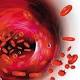 Immune system key to fighting cancer 