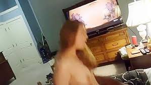 Homemade cuckold porn videos xxxbp jpg x Homemade cuckold amateur