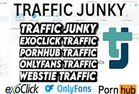 Ad network now has a demand side platform jpg x Traffic junky