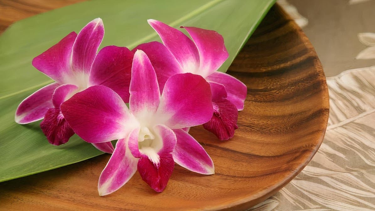 Aloha Island Lei and Floral by null