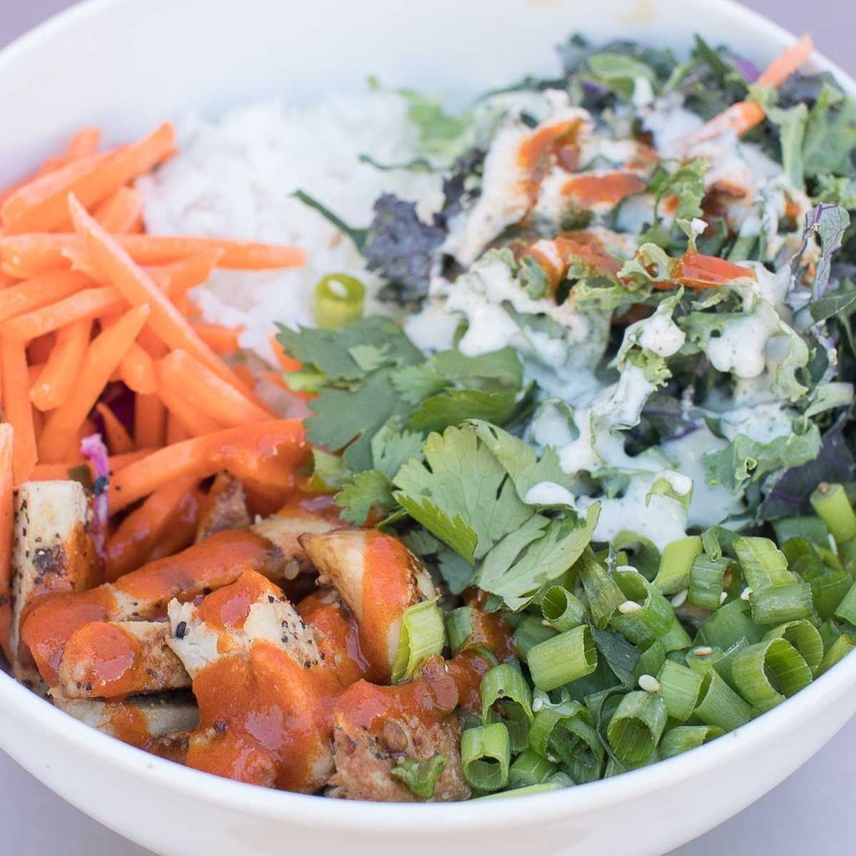 Native Bowl by null