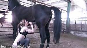 Has sex with horse jpg x Has sex with horse