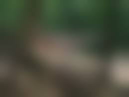 norio sugiura bondage 00015|Exquisite Slave – Page 340 – The Encyclopedia of BDSM. *** The Best of  Humiliation, Slavery, Submissive Girls, Lesbians, Nudity. *** Exquisite  Slave is the ultimate photo gallery and ideal gateway to