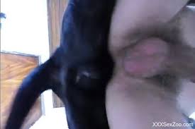 Man fucked dog jpg x Man fucked by dog
