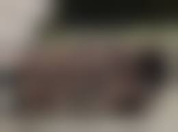 集合写真　パンチラ|何気なく撮った集合写真でパンチラしちゃった女の子ｗ