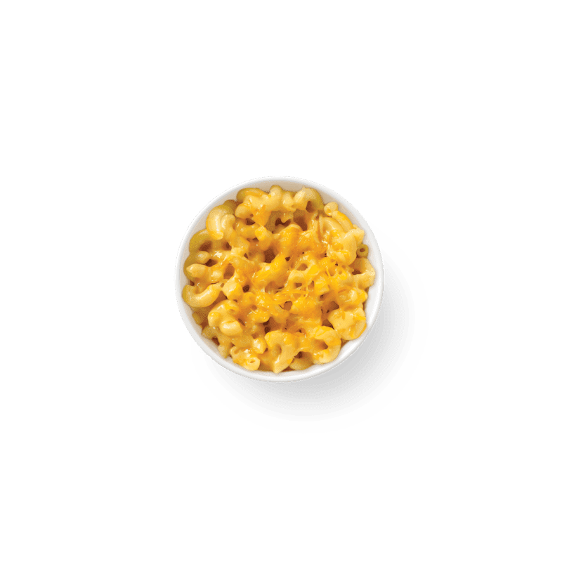 Noodles and Company by null