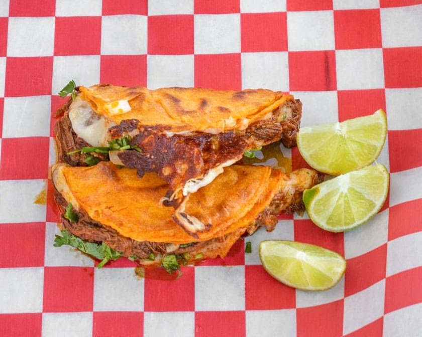 La Tingeria Alexandria by null