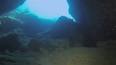 Подводный мир в объективе: захватывающий взгляд на жизнь под поверхностью ile ilgili video