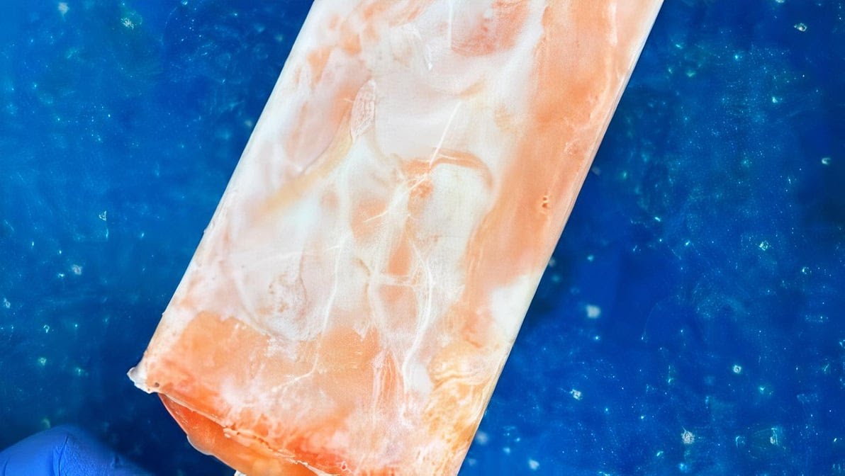 Paleta Planeta by null