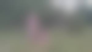 degrade naked slave|The best Gift - his own Sex Slave to Degrade - Pornhub.com