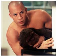 Vin diesel movie jpg x Vin diesel movie