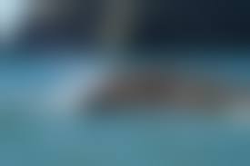 нудисты отмечают новый год|Нудисты заполонили анапские улицы