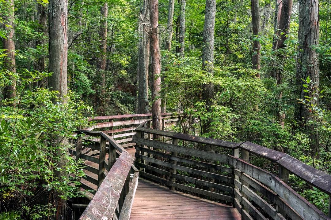 First Landing State Park image