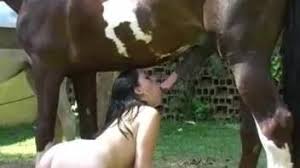 That horse fucked naughty wife zoo xvideos jpg x Wife fucking horse