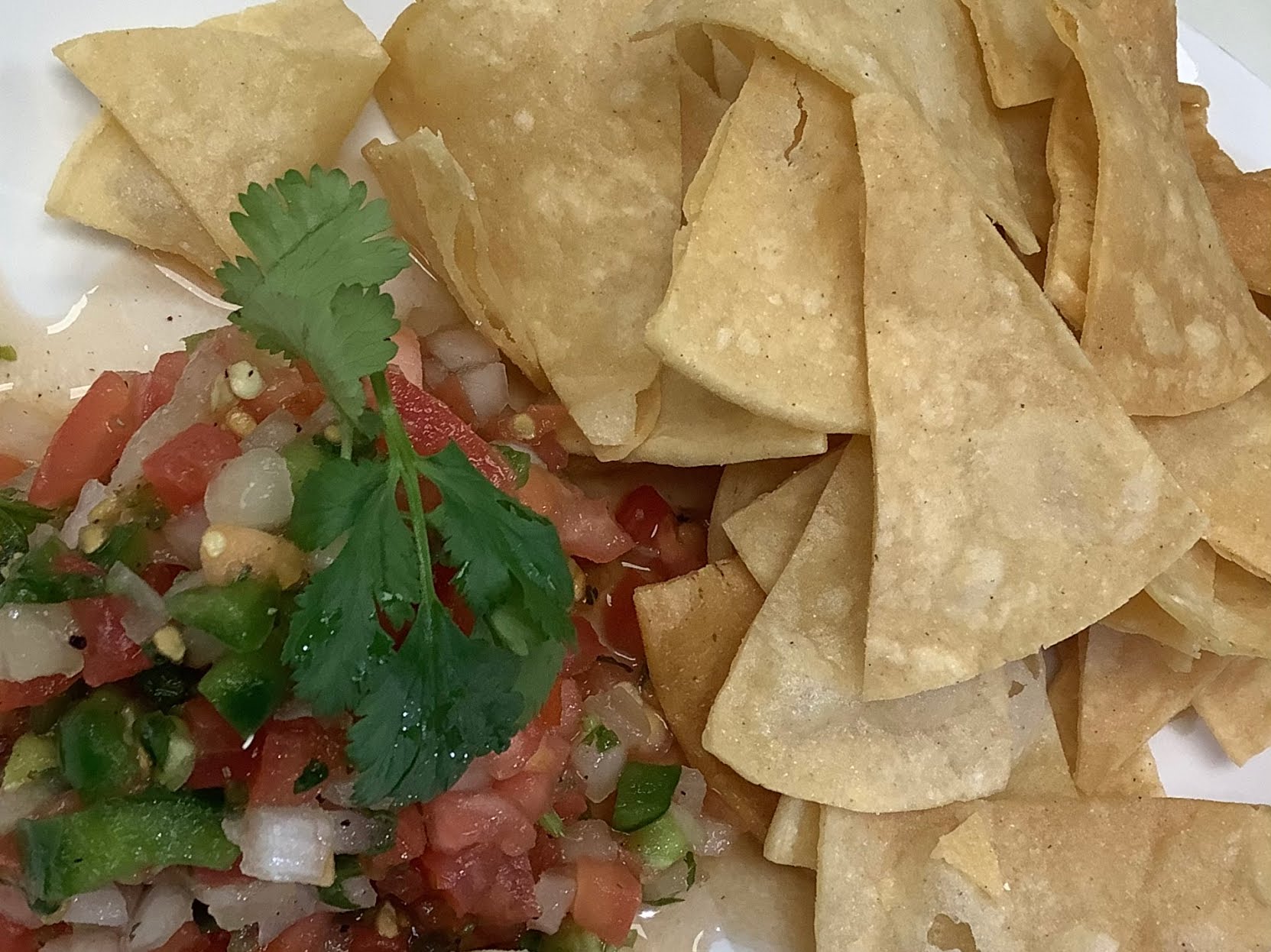 Late Night Tacos Philly by null