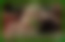 A special Christmas gift for dpg porn|Jessicames's Special Christmas Gift For Dear Santa