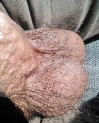 Hairy balls sucking jpg x Hairy balls