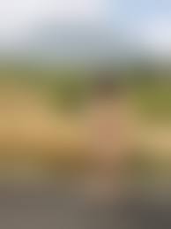 yamidas 野外露出　香絵|待ち受け】闇釜 アイマラよしお|闇窯無修正モロ貼り掲示板投稿画像 枚 素人顔出し無修正マンコsexiezpix Web Porn|すごい野外露出無修正投稿画像  枚 野外露出全裸散歩sexiezpix Web Porn