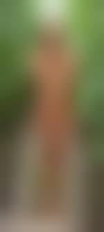 petti tomato nude|petit tomato 全SET1-42 別冊1-3 令和美少女図鑑｜Yahoo!フリマ（旧PayPayフリマ）