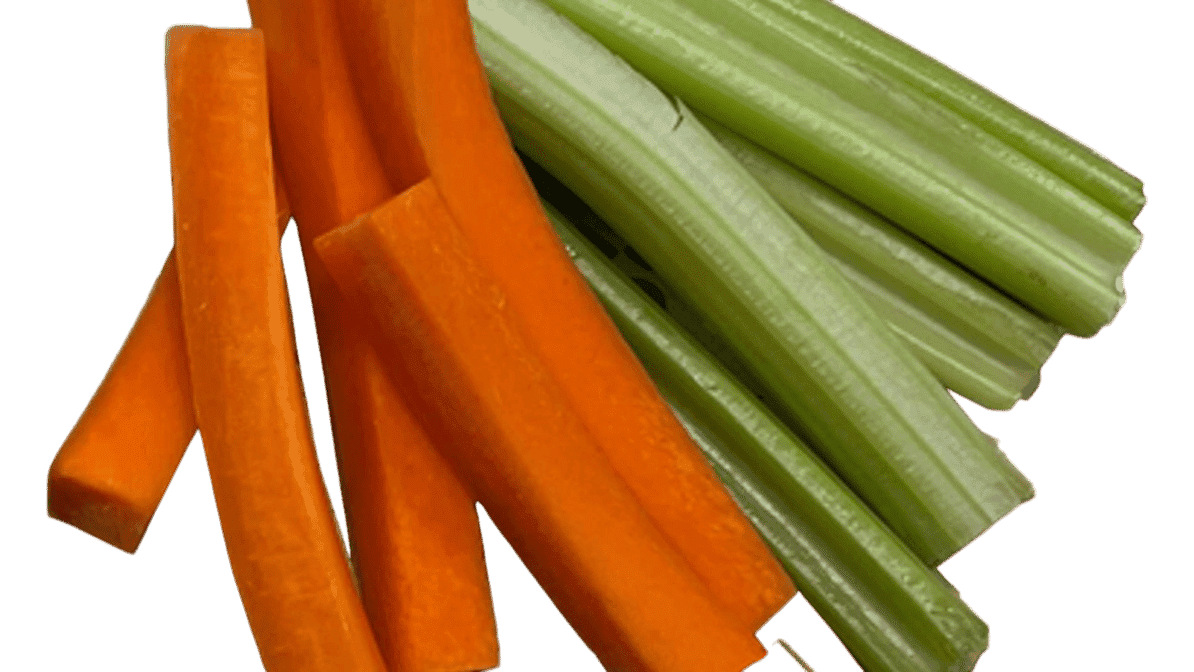 Mt. Joy @ SLU by null