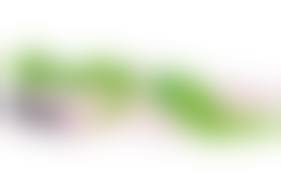 体位48手|エロTシャツ 半袖 48手 ピクトグラム 体位 古着 古着屋 埼玉 ストリート オンライン 通販 アメカジ ビンテージ 2404056 |  古着屋BUYER'S バイヤーズ【古着買取受付中】