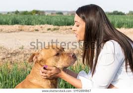 dogs fuck litlle girls|Little dog fucks a big dog watch online