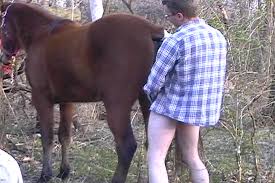 Man fuck horse jpg x Man fuck horse