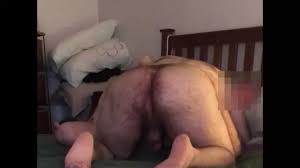 Urso peludo batendo punheta png x Urso peludo