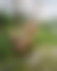 nastia mouse nude|Necklace with our Slogan in 4 languages With diamond-like stone - Lashon  hara, Speak no evil