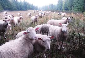 postto.me porn teens 24|DOM CASMURRO