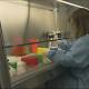 Texas hospitals say they have developed rapid test for Zika 