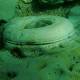 Underwater 'lost city' is a natural phenomenon, say scientists 