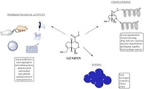 son ye jin fake nude|Love and Leashes (2022) - User reviews - IMDb
