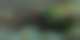 tonkato naked|話題】マドンナのヌード写真がオークションで競売！ | xnews2 スキャンダラスな光景