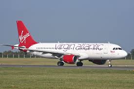 little virgins|the virgins バニティバッグ 不正 パープル