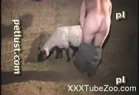 Ced man fuck sheep gaybeast com siterip jpg x Man fucks sheep