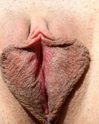 Porn image of woman pussy juice spreading pussy lips photo close up created jpg x Female pussy