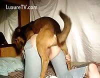 Tick zoo dog fuck girl compilation videos jpg x Sex girl and dog