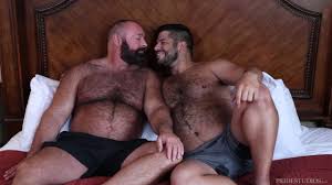 Urso peludo pegou empurrar na varanda da cabine online jpg x Urso peludo