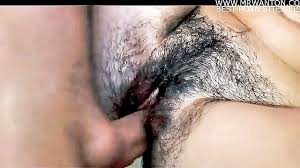 Hairy pussy jpg x Hairy bush