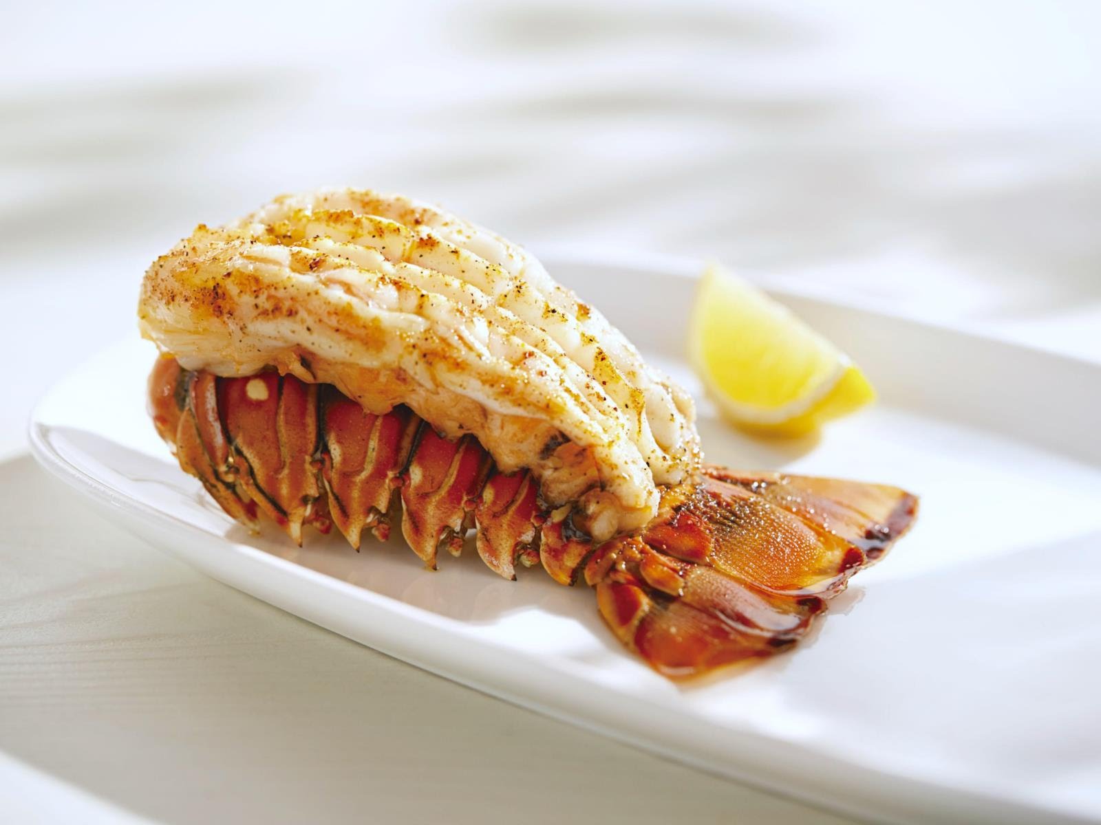 Red Lobster by null