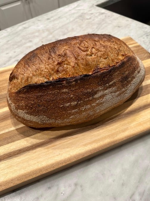Pluma by Bluebird Bakery by null