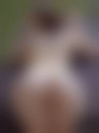 cosplay russian gilr pussy|pussyfuck amateur cosplay horny ass boobs butt - XNXX.COM