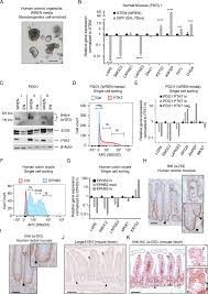 lsm nudes 020|秀人网] 広州学生の若い柔らかいモデルの大胆な露点魅惑的な写真集 - 小さな牛乳瓶のハミング [秀人网] Guangzhou student's  young tender model bold dew point seductive photo album - small milk bottle  humming