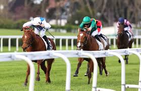 hebe pussy 8ch|Rule 34 Dev - animopron ass beast beastiality big breasts buttplug fuck  game gif horse huge lara_croft monster penetration penis pussy rule34 sex  sucking tomb_raider zoo|567284