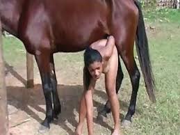 Gifted horse fucking mare in heat png x Getting fucked by horse