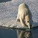 Polar heatwaves have ice in retreat at both ends of the planet 
