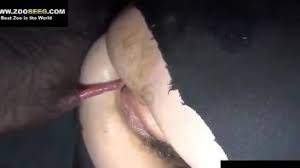 Wet pussy beauty getting fucked a big dicked pig jpg x Pig fucks woman