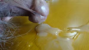 Veronica is ready to swallow semen and orgasm repeatedly jpg x Semen on
