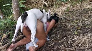 Woman fucked dog jpg x Woman fucked by dog